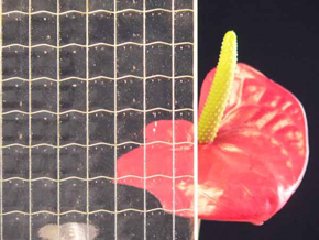 Армированное стекло