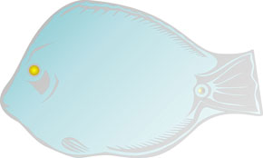 Фигурные зеркала.