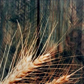 Фотопечать на стекле