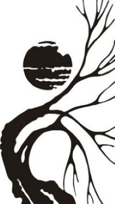  Гнутое стекло для мебели