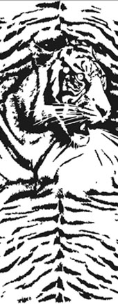 Матовые витражи