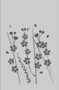 Каталог рисунков для матировки