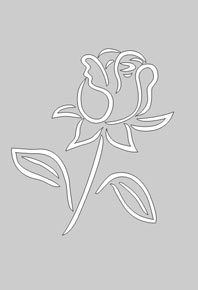 Стекла с матовым рисунком