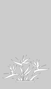 Стекла с матовым рисунком