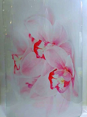 Витраж с фотопечатью