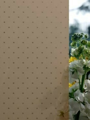 Рифленое стекло для дверей Пунто бронза матовое