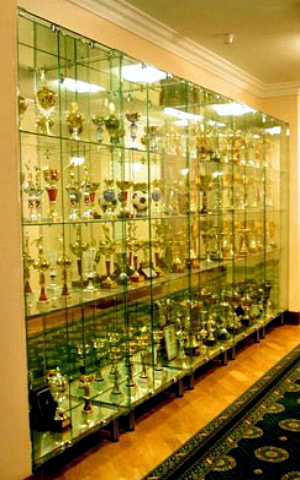 >Витрина на колесах